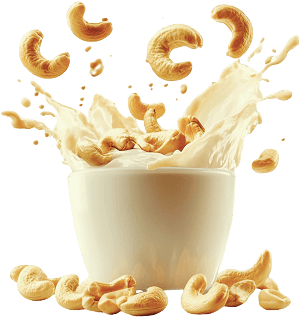 Anacardo - VeganMilker
