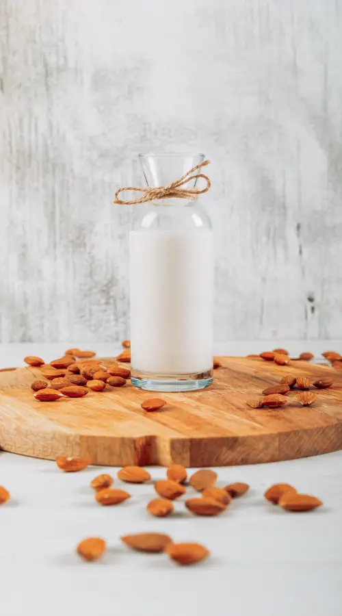 Leches vegetales de todo tipo de frutos secos