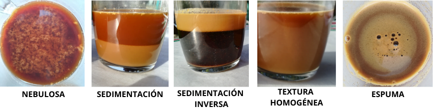 se puede mezclar leche vegetal y café