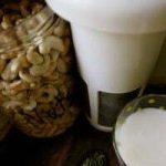 hacer leche de anacardos con stevia