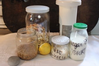 Receta vegana de yogurt y queso vegano, sin lactosa