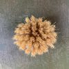 Cepillo organic — imagen 4