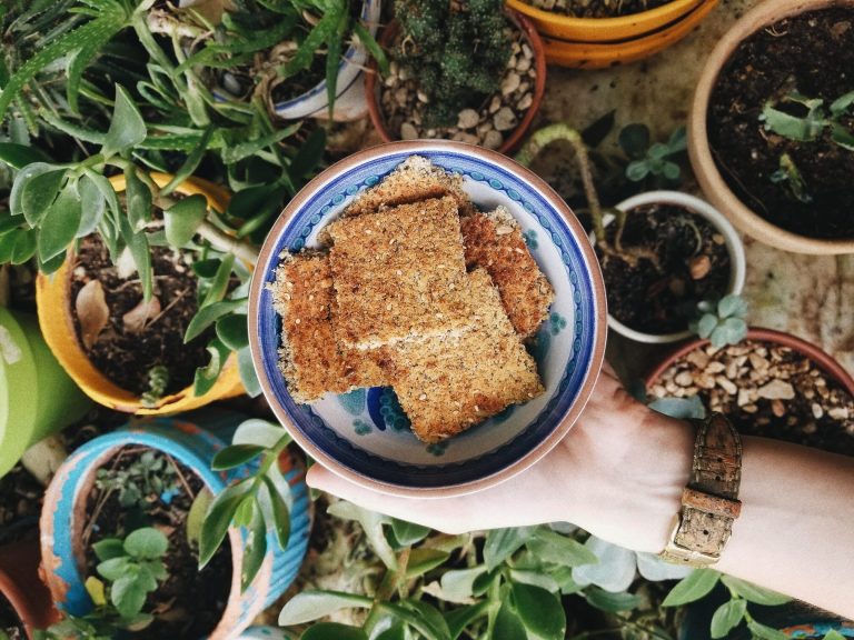 receta crackers pulpa de chufa