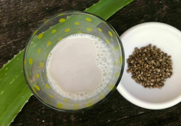 cómo hacer Leche de semillas de cáñamo con aloe