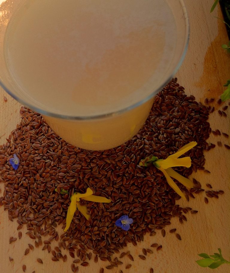 Como hacer leche de lino marrón