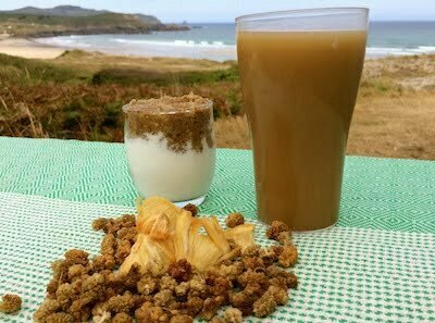 zumo de frutas deshidratadas
