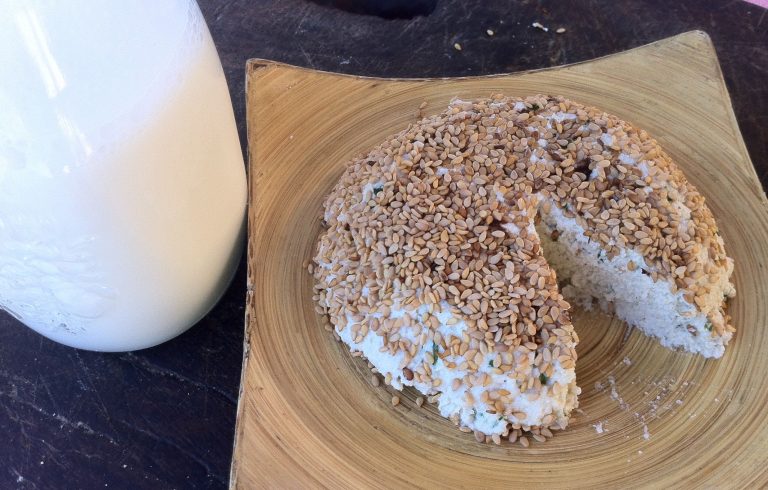receta vegana de queso vegano de almendras probiótico