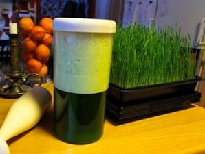 como hacer zumo detox con hierba de trigo con chufamix